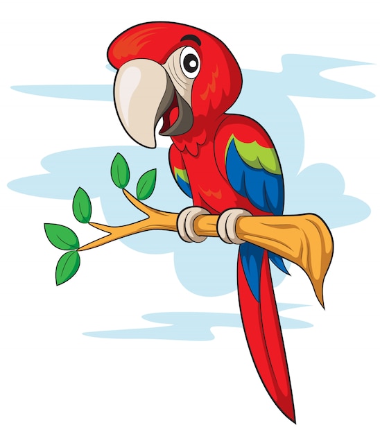 Premium Vector | Parrot cartoon