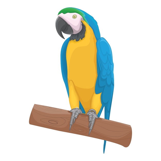 Premium Vector | Parrot