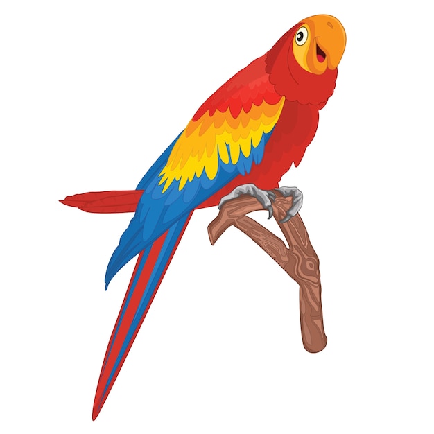 Premium Vector Parrot