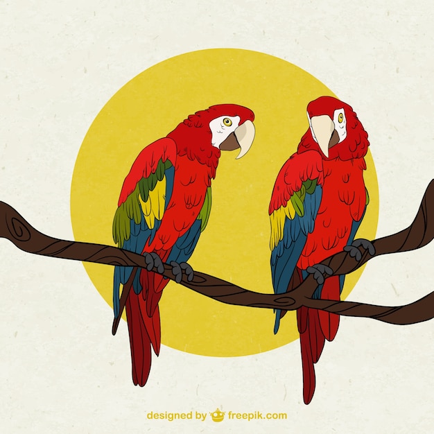 Premium Vector | Parrots on a branch illustration