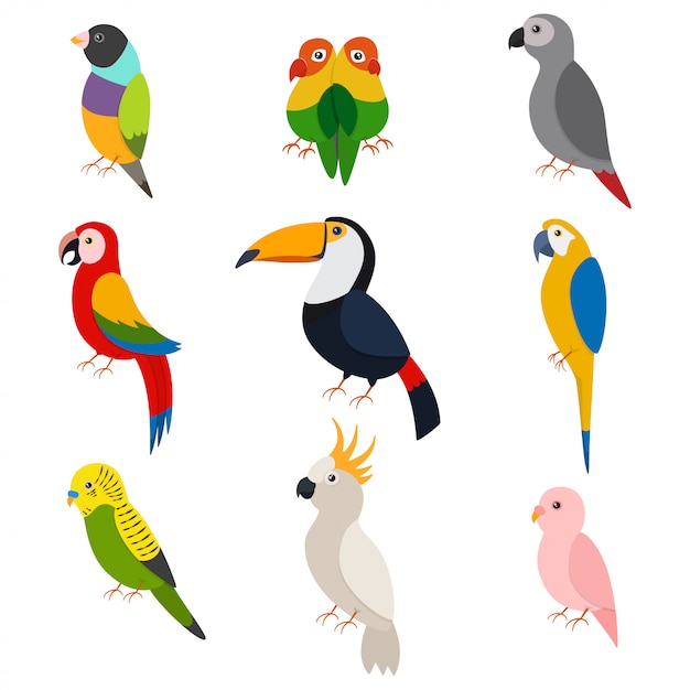 Download Parrots cartoon set isolated white Vector | Premium Download