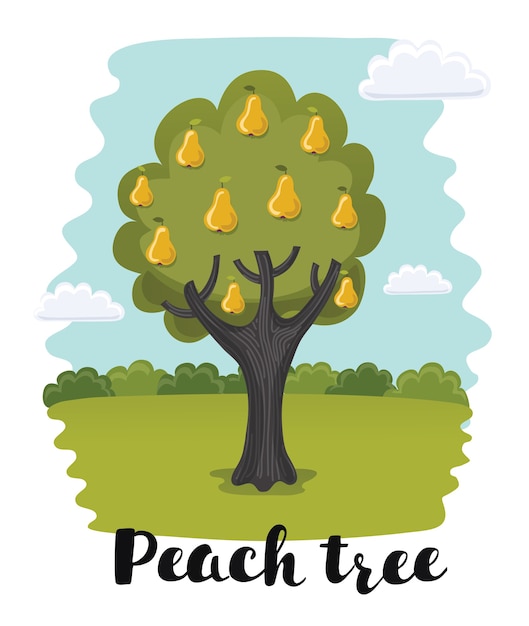 Premium Vector A Partridge In A Pear Tree Illustration