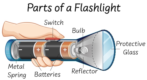 Free Vector | Parts of a flashlight