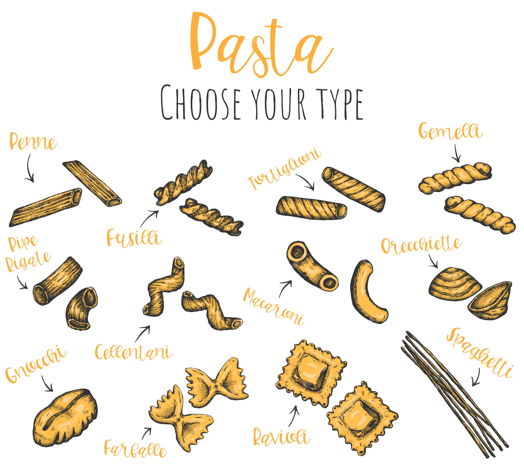 Premium Vector | Pasta types hand drawn set, isolated sketched ink ...