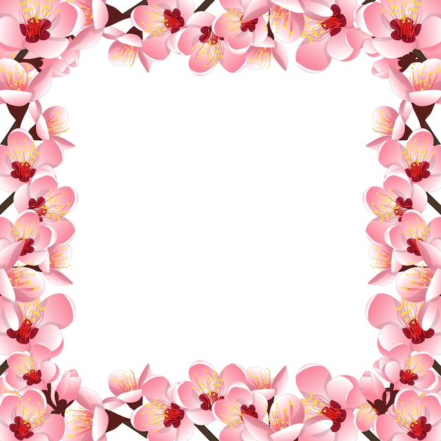 Premium Vector | Peach flower blossom border