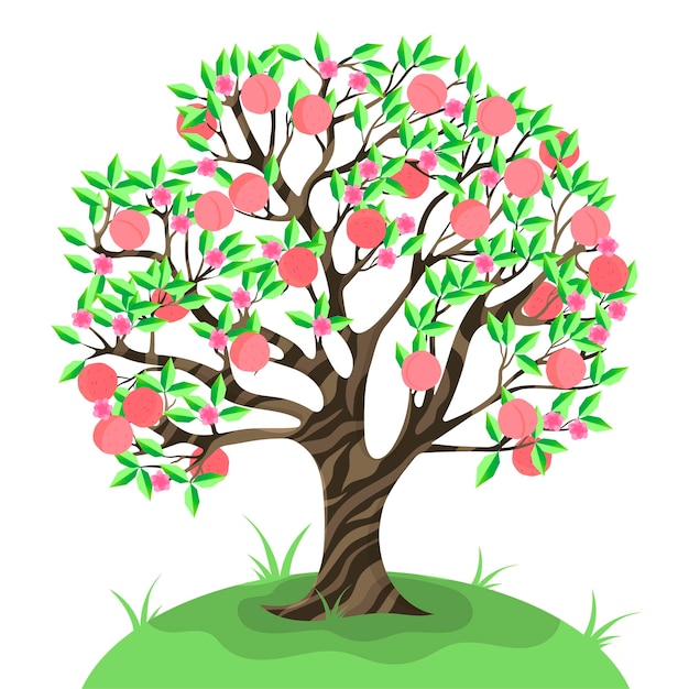 Premium Vector Peach tree isolated.