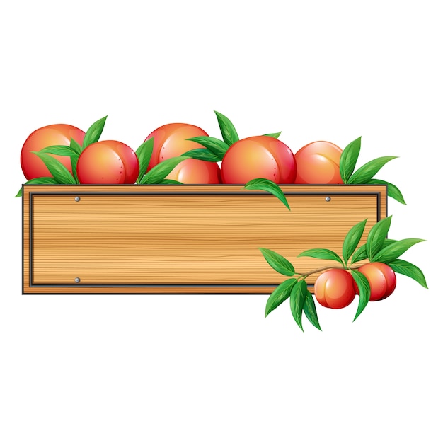 Download Peaches box design | Free Vector