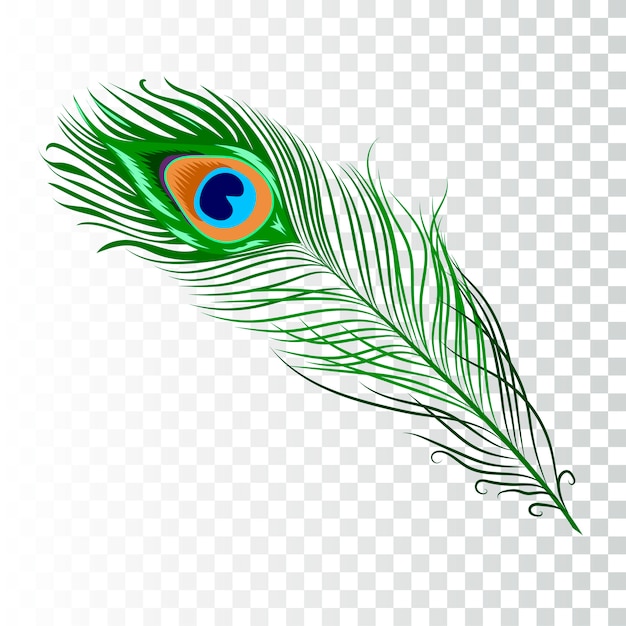 Download Free Peacock Images Free Vectors Stock Photos Psd Use our free logo maker to create a logo and build your brand. Put your logo on business cards, promotional products, or your website for brand visibility.
