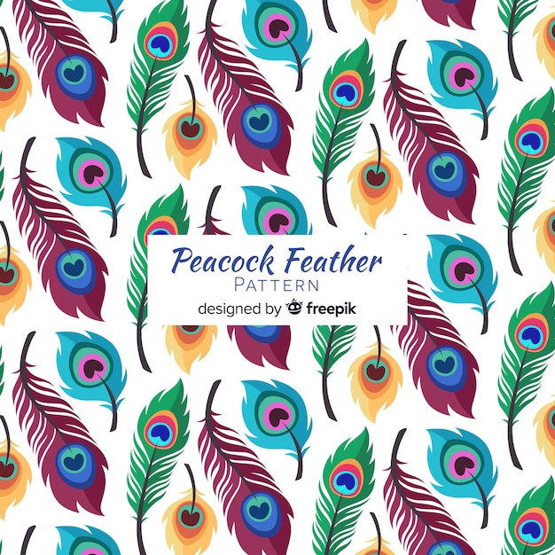 peacock-feather-pattern-collection-with-flat-design-vector-free-download