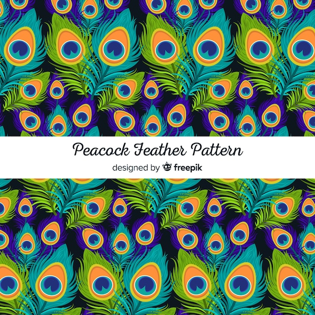 Download Peacock feather pattern collection with flat design | Free ...