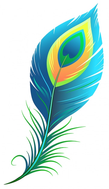 Download Peacock feather Vector | Premium Download