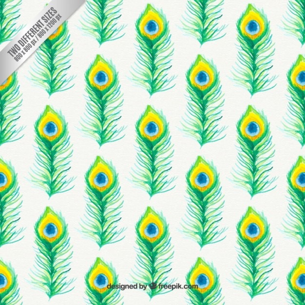 Download Peacock Feathers Vectors, Photos and PSD files | Free Download