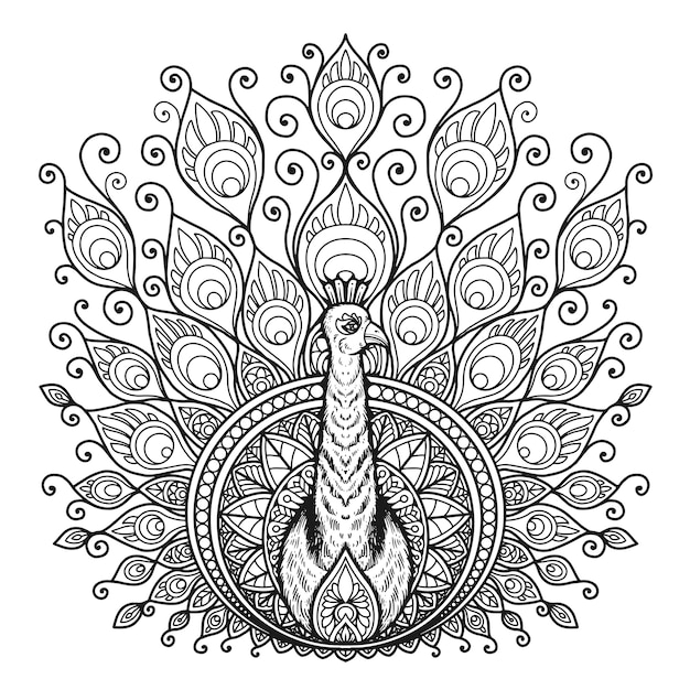 Download Premium Vector | Peacock mandala design for coloring book