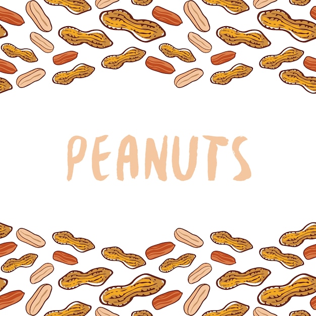 Peanuts background. nuts hand drawn vector Premium Vector