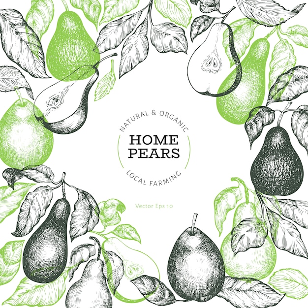 Premium Vector Pear design template Premium Vector Pear design template