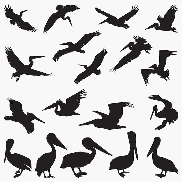 Download Free Pelican Vector Silhouettes Premium Vector Use our free logo maker to create a logo and build your brand. Put your logo on business cards, promotional products, or your website for brand visibility.