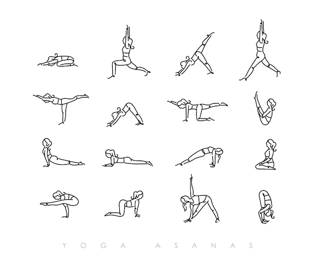 Premium Vector | Pen line hand drawing girls in yoga asanas in light ...