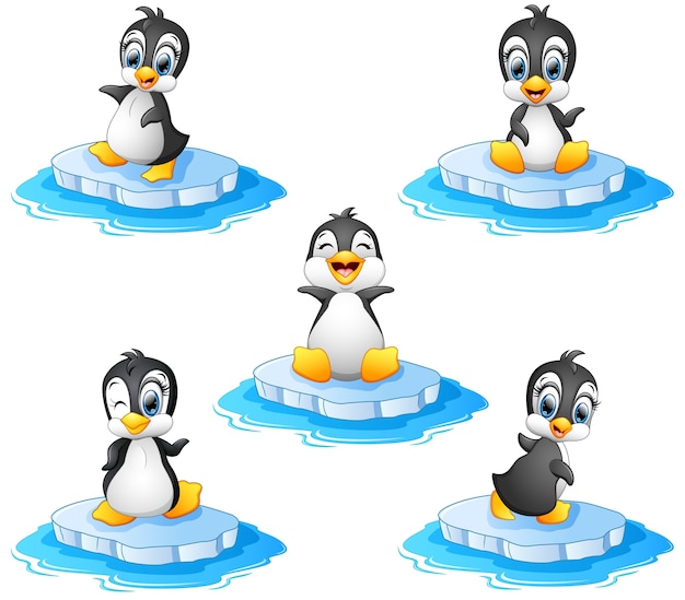 Premium Vector | Penguin cartoon set collection