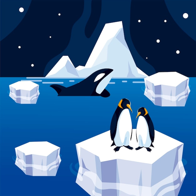 氷山とシャチの海の北極の夜のパノラマイラストのペンギン プレミアムベクター