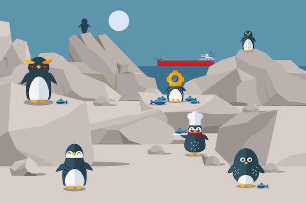 ペンギンは岩の多い海岸 イラストで昼食をとります 3キャップの鳥とシェフの帽子 キャラクターペンギンが食べ物を手に入れた プレミアムベクター
