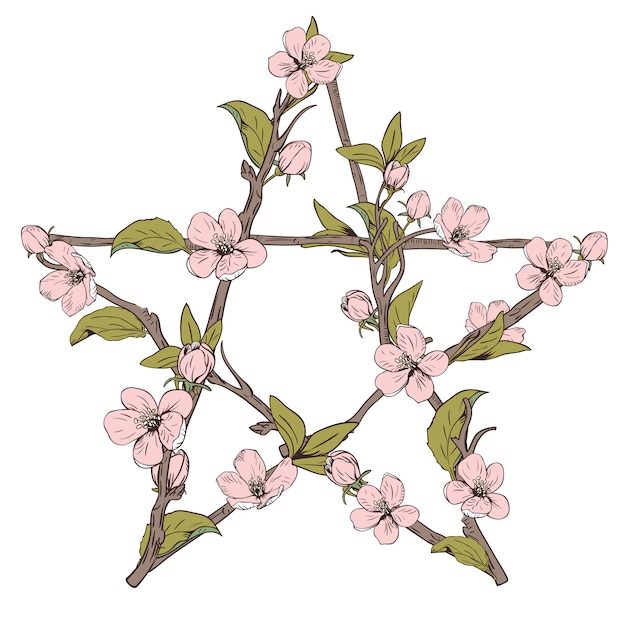 咲く木からの枝で作られた五芒星形看板手が白い背景の上の植物のピンクの花を描いた ベクトルイラスト プレミアムベクター