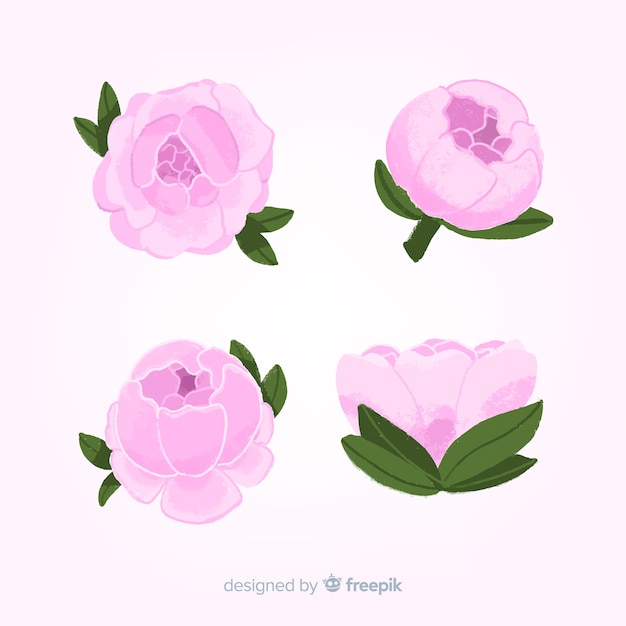 Free Vector | Peony flowers pack