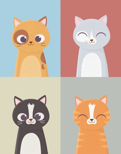 ペット猫国内の猫のキャラクターセット漫画イラスト プレミアムベクター