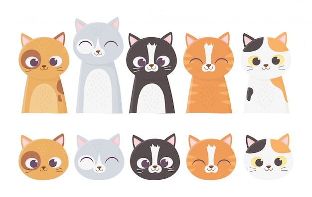ペット猫顔貴様ネコの品種漫画イラスト プレミアムベクター