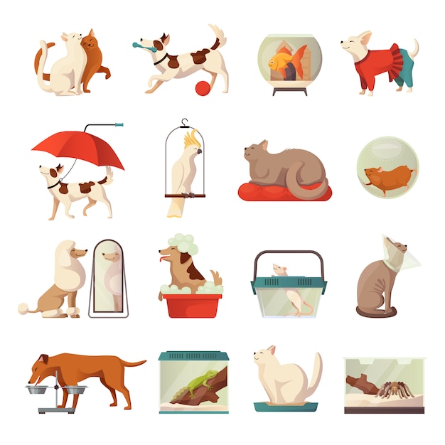 Pet shop icons set | Free Vector