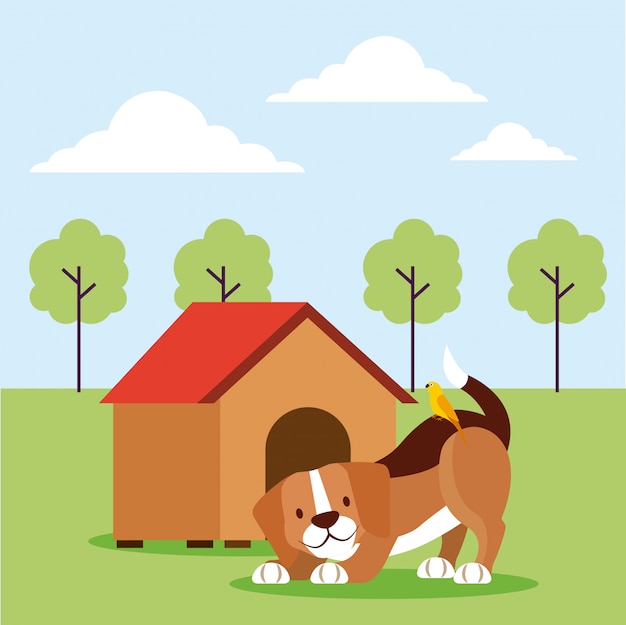 Pet shop related | Free Vector