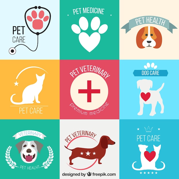 Pet veterinary drawings pack Vector Premium Download