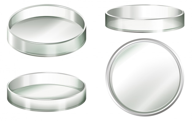 Petri dishes on a white background