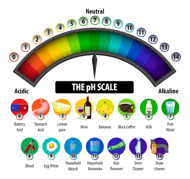 Free Vector | The Ph Scale Diagram On White Background