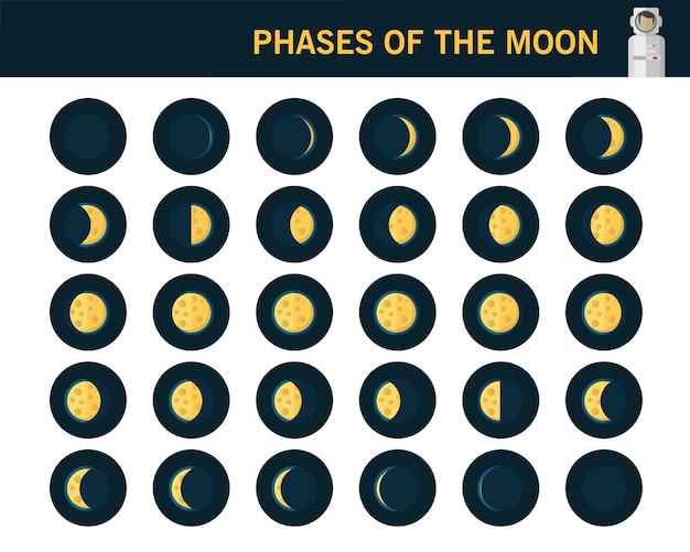 Premium Vector | Phases of the moon concept flat icons.