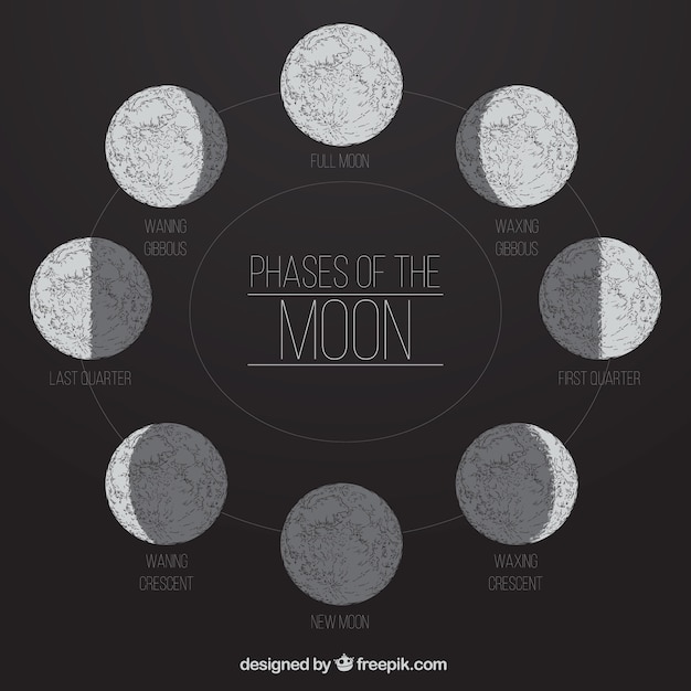 Phases of the moon in hand-drawn style | Free Vector