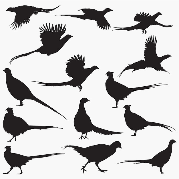 Download Premium Vector | Pheasant silhouettes