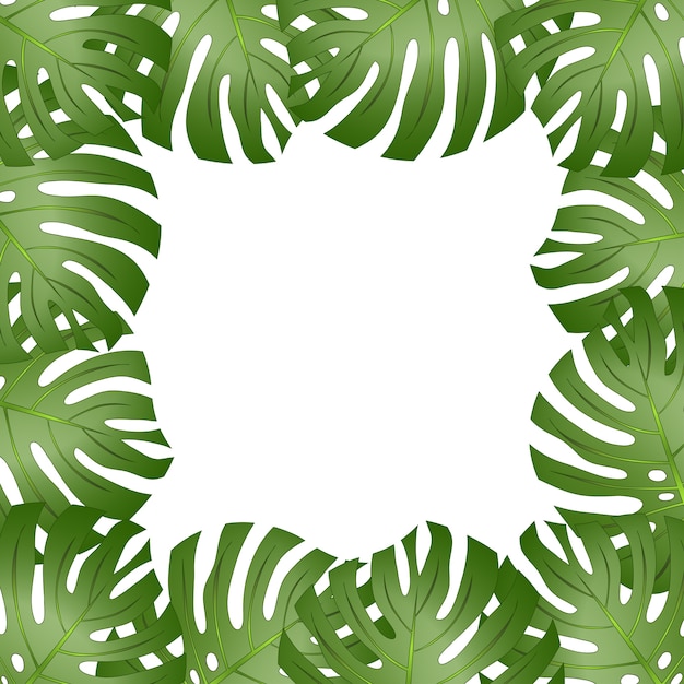 Premium Vector | Philodendron monstera leaf border