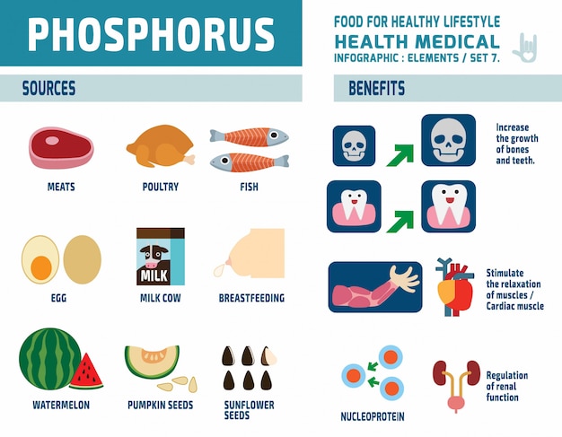 Phosphorus. infographic elements. health care concept. flat cute ...