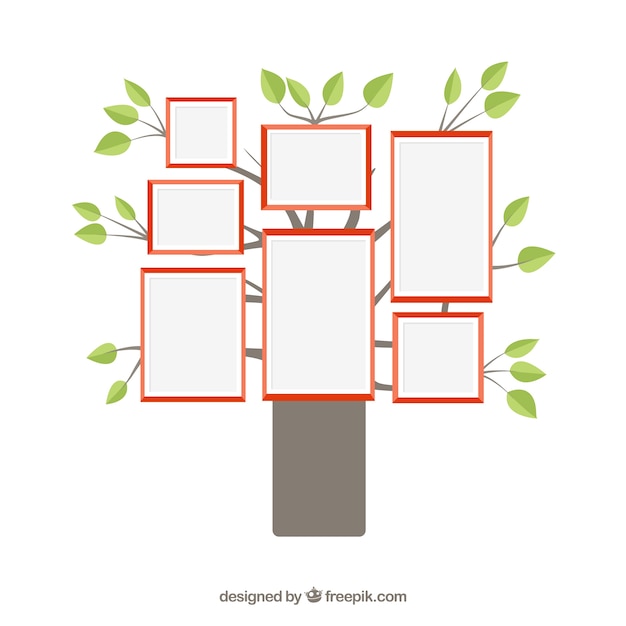 Free Vector | Photo frames on tree