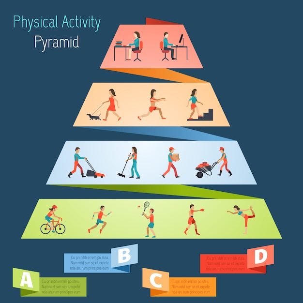 Physical activity pyramid infographics Vector | Free Download