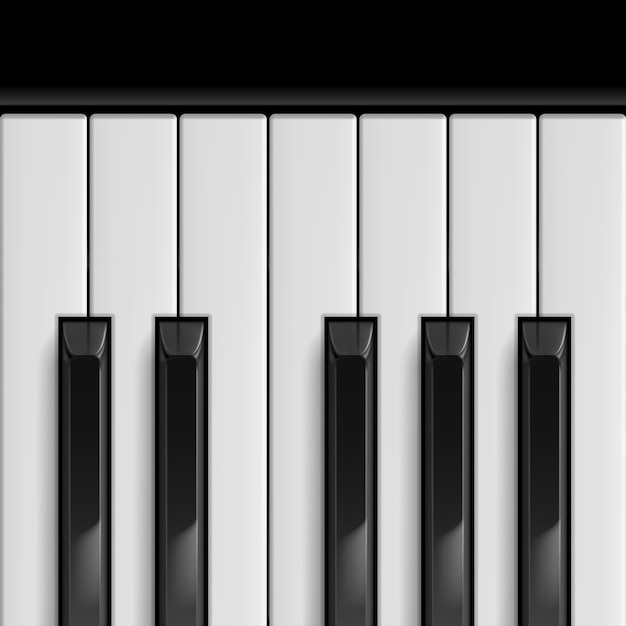 Premium Vector | Piano keys