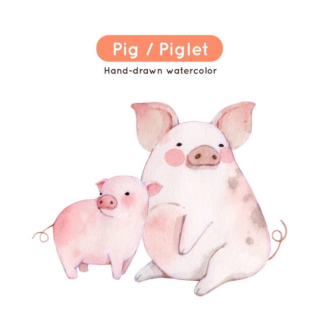 Download Premium Vector | Pig watercolor illustration