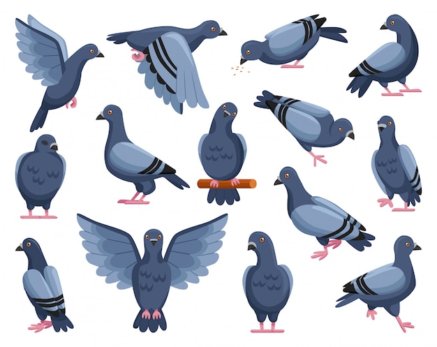 Download Free Pigeon Images Free Vectors Stock Photos Psd Use our free logo maker to create a logo and build your brand. Put your logo on business cards, promotional products, or your website for brand visibility.