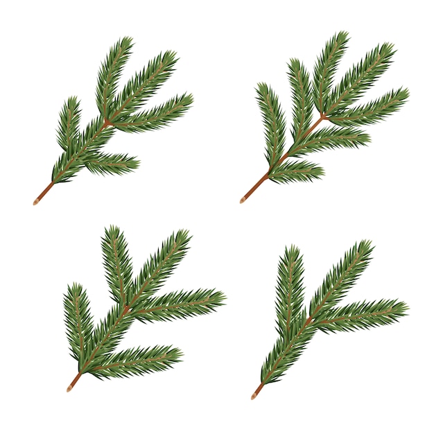 Premium Vector | Pine tree branches. realistic xmas decoration elements.