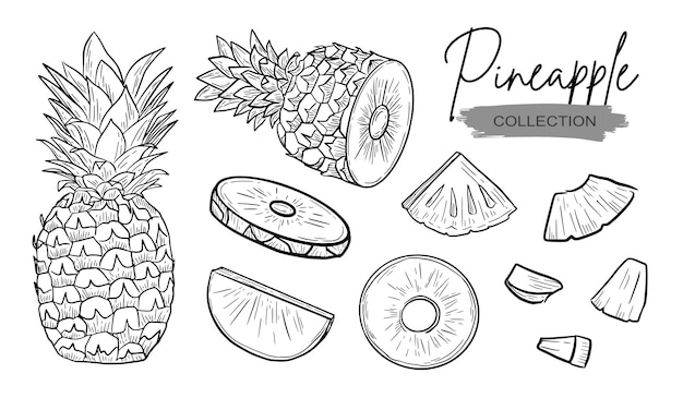 Pineapple drawing set collection vintage Premium Vector
