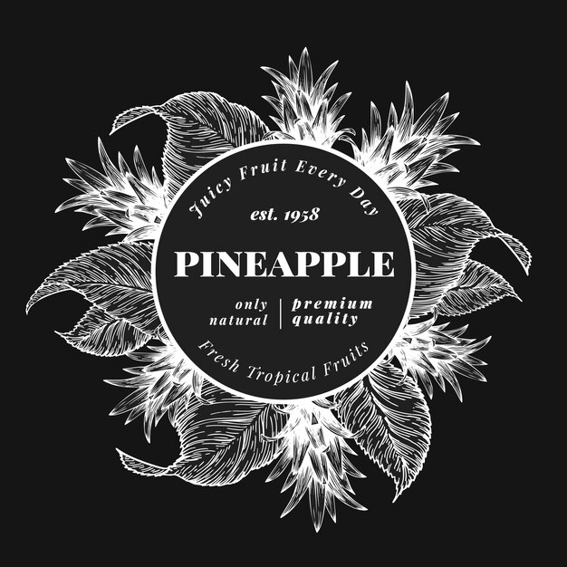 Download Pineapple fruit design. hand drawn vector fruit illustration on chalk board. engraved style ...