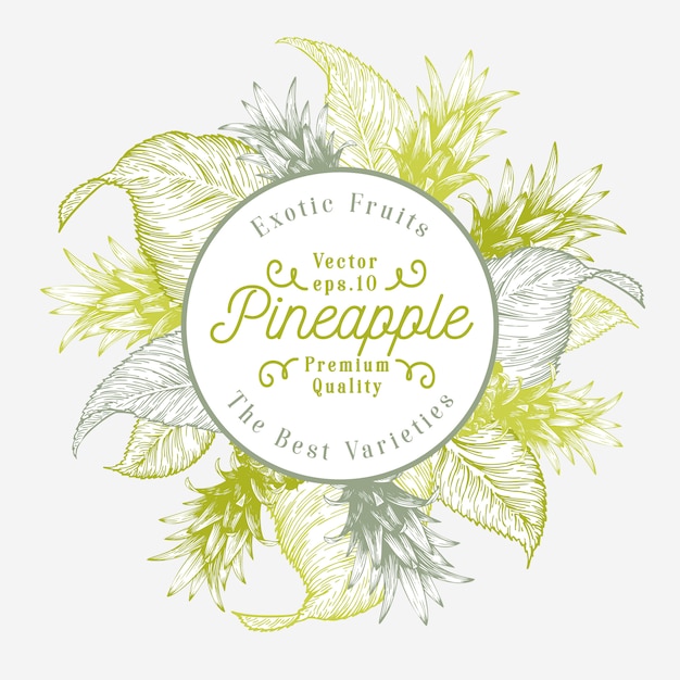 Download Premium Vector | Pineapple fruit design template. hand ...