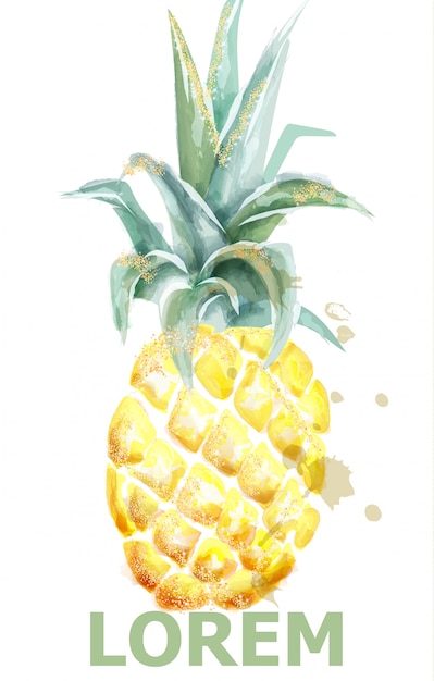 Download Pineapple watercolor | Premium Vector