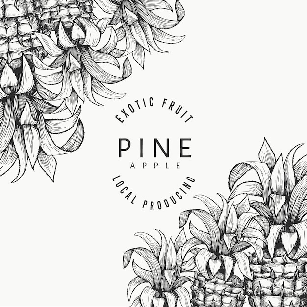 パイナップルとトロピカルリーフデザインテンプレートです 手描きの背景トロピカルフルーツのイラスト 刻まれたスタイルのアナナスフルーツバナー レトロな植物のフレーム プレミアムベクター