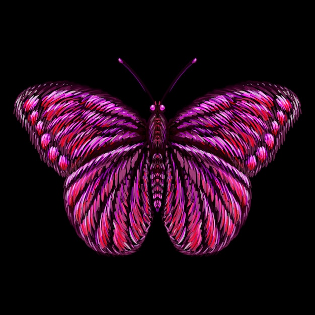 Download Pink butterfly on dark Vector | Premium Download